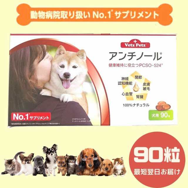 アンチノールプラス アンチノールplus 犬用サプリメント 90粒 - 通販